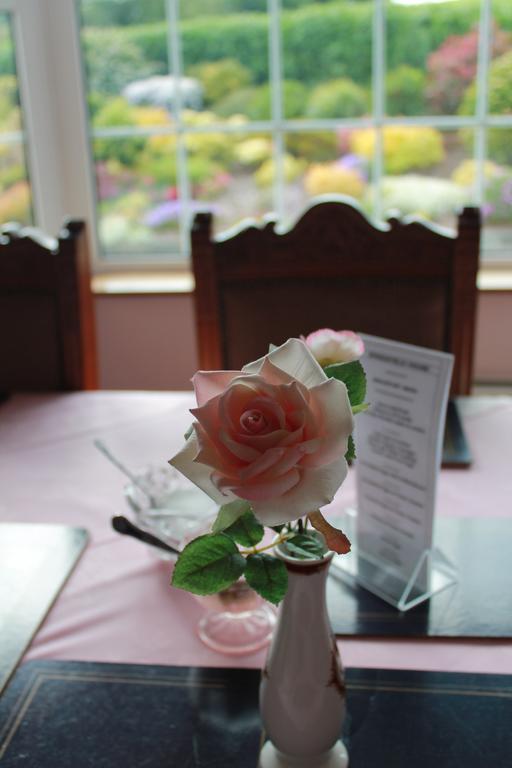 Springfield House B&B Clonakilty Luaran gambar